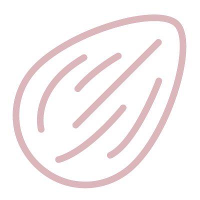 Icon showing almond - Sweet Angel Cakes cake flavors, fillings, and icing